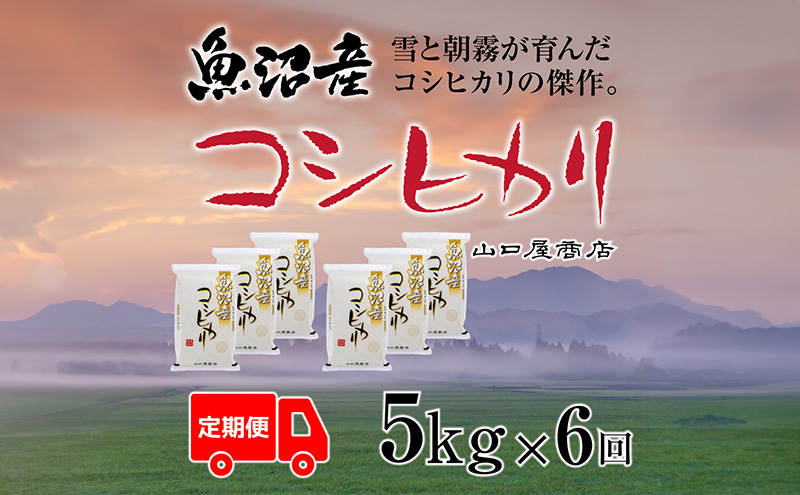 定期便 全6回 魚沼産コシヒカリ 5kg お米 米 コメ 