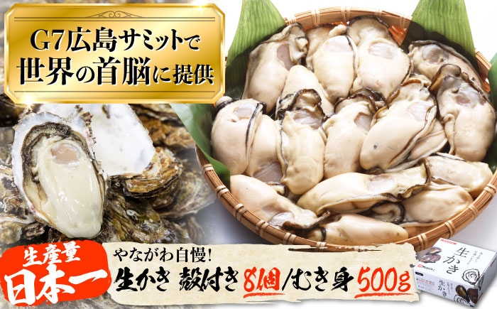 
                  生牡蠣【着日指定可能】生牡蠣 むき身500g／殻付き8個 江田島市／マルサ・やながわ水産有限会社 [XBL026]｜生 牡蠣 カキ かき むき身 殻付き 生食 国産 生かき 生カキ 生牡蠣 カキ 料理用 魚介 海鮮物 かき カキ 牡蠣 江田島 広島 人気 おすすめ お取り寄せ
                