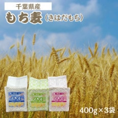 もち麦セット　食物繊維たっぷりの「もち麦」(きはだもち) 400g×3袋 千葉県横芝光町産