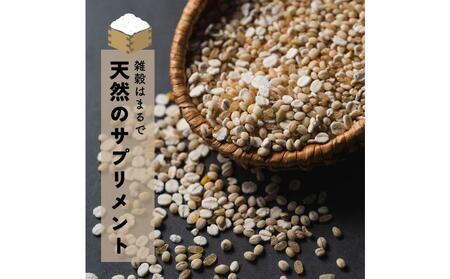 健康重視ヘルシーブレンド 4.5kg(450g×10袋)