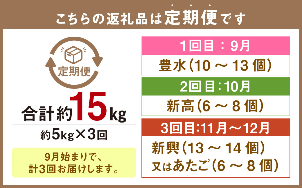3種の梨 食べ比べ 定期便 合計 約15kg フルーツ 果物 青果 