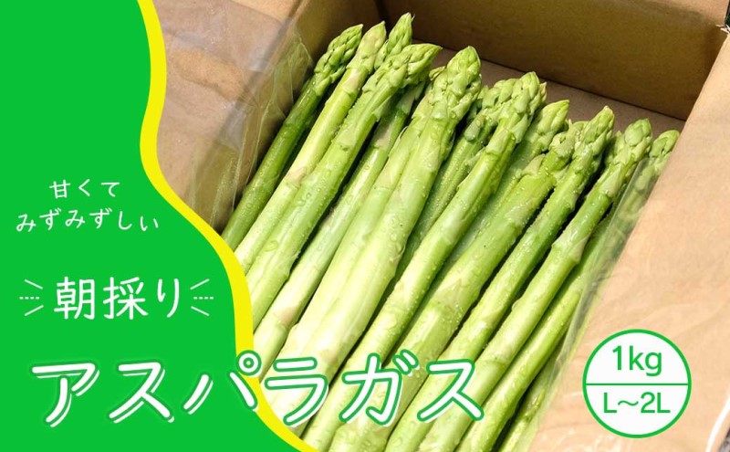 【先行予約】発送2025年4月 アスパラガス 小郡産 朝採りアスパラガス 1kg (L、2Lサイズ混) 野菜 永利農園
