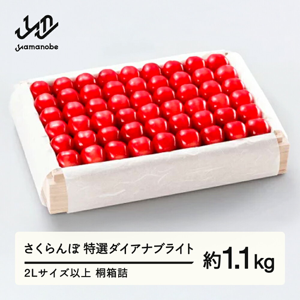 【ふるさと納税】《先行予約》2026年 山形県産 特選ダイアナブライト 桐箱詰め 約1100g 2L以上 やまのべ多田耕太郎のさくらんぼ ギフト 贈答 贈り物 送料無料 F20A-063
