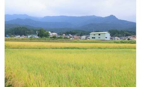 【令和7年産】新潟県産コシヒカリ ５kg 特別栽培米『ひすいの雫』令和7年産 糸魚川 こしひかり コシヒカリ おすすめ 精米 白米 磯貝農場 米 コメ
