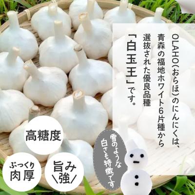 ふるさと納税 大館市 【OLAHO】白玉王にんにく　1kg |  | 01