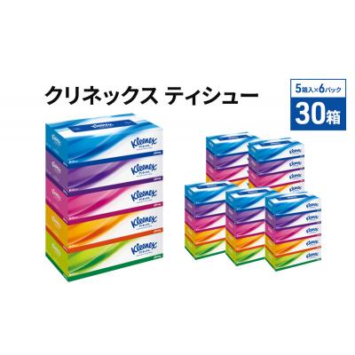 ふるさと納税 岩沼市 ティッシュ クリネックス 30箱 (5箱×6P)  ティシュー[No.5704-0885] |  | 01