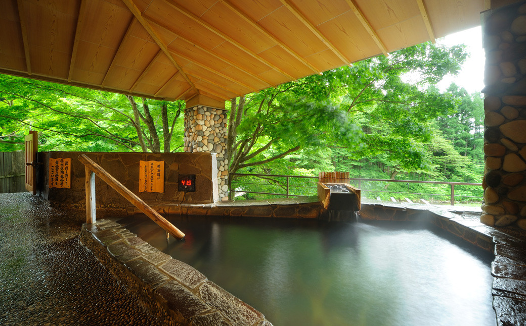新鉛温泉 結びの宿  愛隣館  日帰り 入浴券 （10枚セット） 【1267】