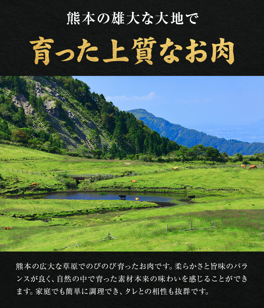 熊本 馬刺し 4種バラエティセット ローストホース付き 合計 400g 上赤身 100g ふたえご 50g たてがみ 50g 馬刺しユッケ 100g ローストホース 100g 《30日以内に出荷予定(