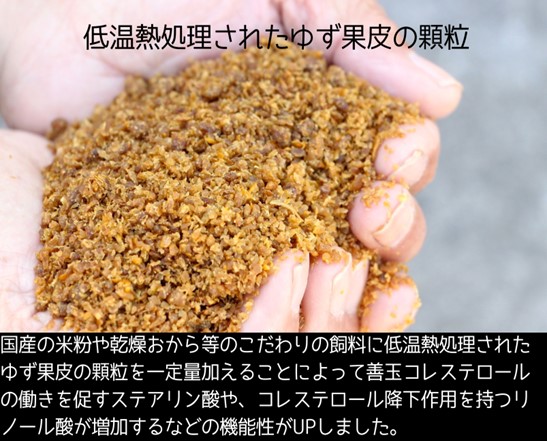 112012　二刀流セット（とんかつ＆しゃぶしゃぶ）約1.1kg