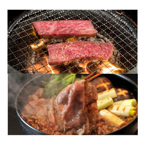 1026.鳥取 和牛 ももすき焼き用＆バラ焼肉用セット | 和牛