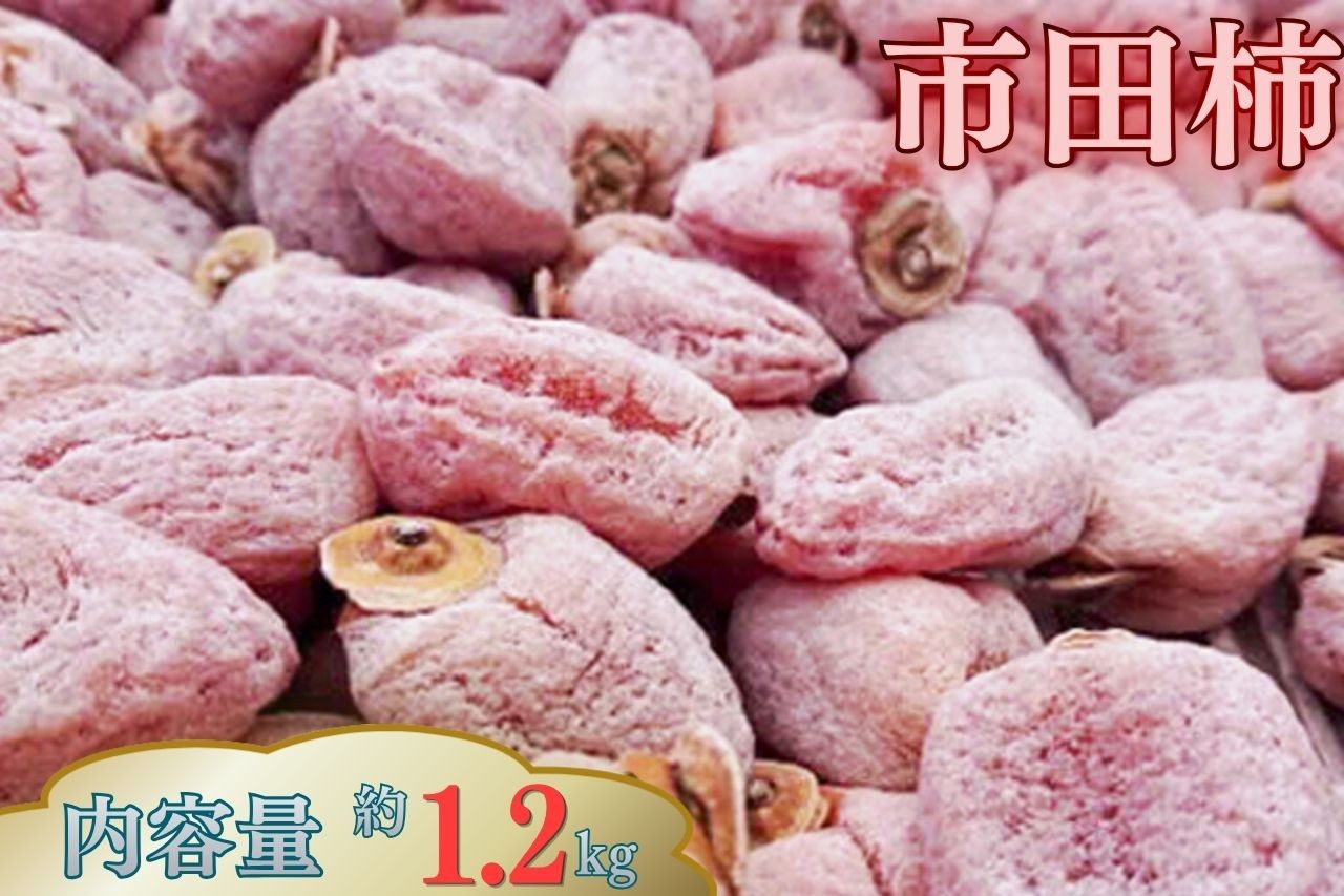 
                  8-A01　市田柿　徳用約1.2kg　大袋
                