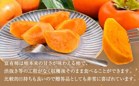 先行予約 富有柿 秀品8個入り こだわり農家厳選【2025年10月末頃から11月下旬頃順次発送】【KG25】