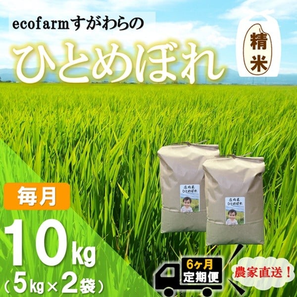 
            【定期便6回】精米　ecofarmすがわらの庄内米ひとめぼれ10kg×6回
          