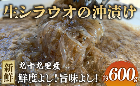 生シラウオの沖漬け 600g (100g×6P)  ｼﾗｳｵ ｼﾗｳｵ ｼﾗｳｵ ｼﾗｳｵ ｼﾗｳｵ ｼﾗｽ ｼﾗｽ ｼﾗｽ ｼﾗｽ ｼﾗｽ