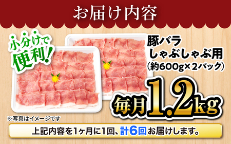 6回定期便 国産豚 SPF豚 バラ しゃぶしゃぶ 計1.2kg 訳あり CEK085 国産豚 豚肉 しゃぶしゃぶ 国産豚