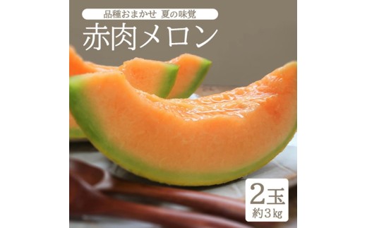 庄内砂丘 『品種おまかせ赤肉メロン』　約3kg(2玉入)  SA2977