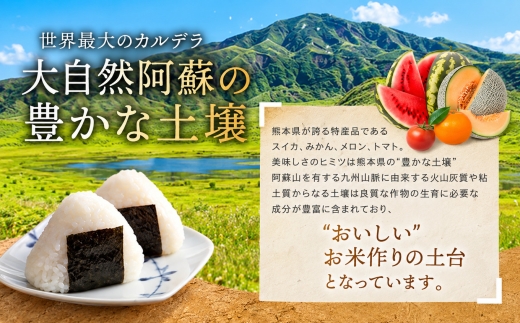 【定期便3回】R8年産熊本県産 無洗米 ほたるの灯り 15kg