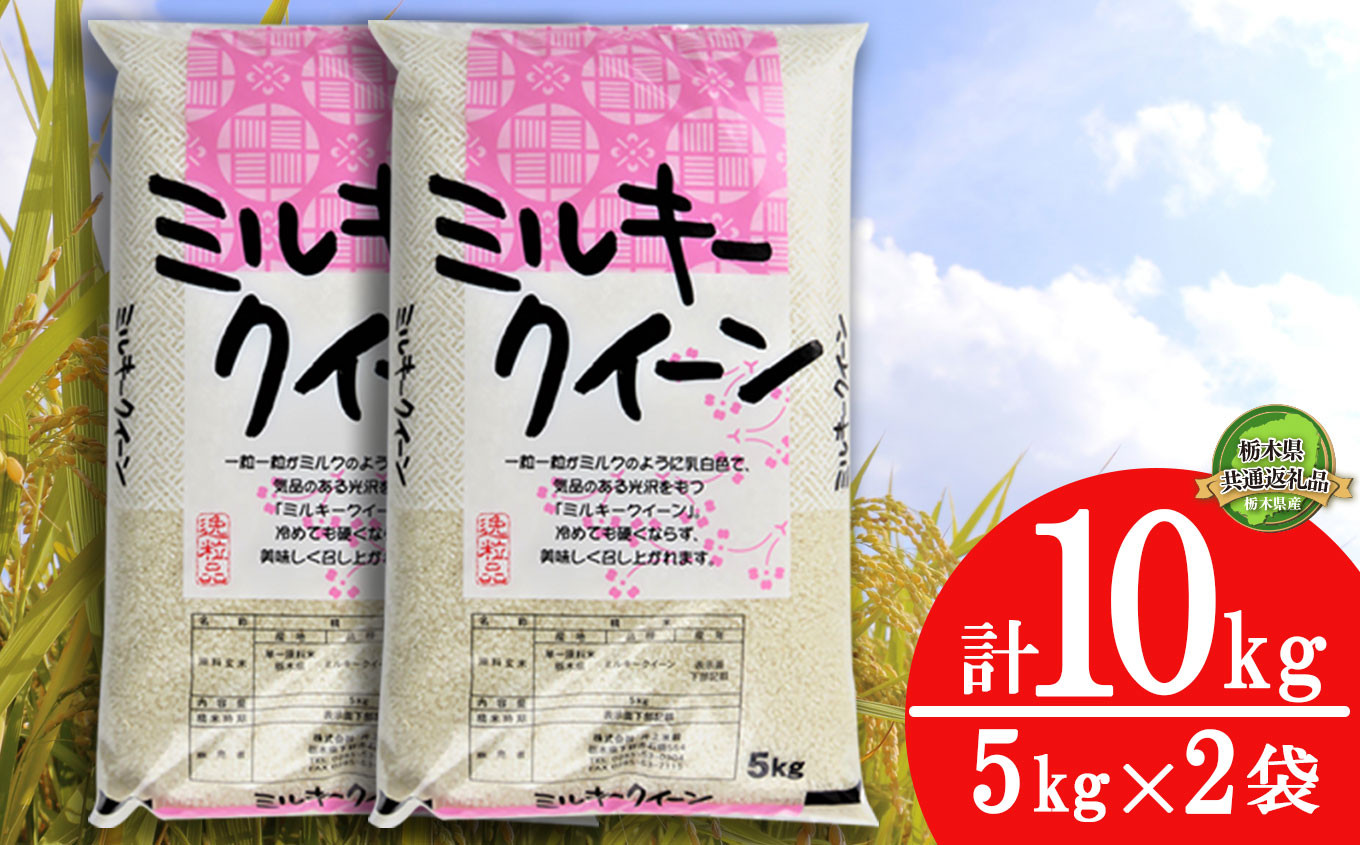 
令和6年度 新米 ミルキークイーン10kg（5kg×2袋） | 白米 精米 お米 ブランド米 栃木県 栃木県共通返礼品 栃木県産 特産品 下野市 送料無料
