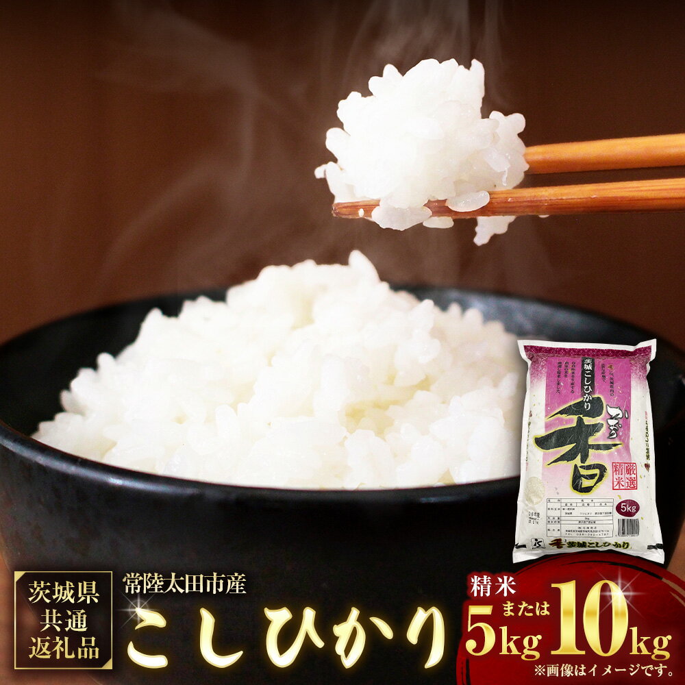 【ふるさと納税】【選べる容量】【令和6年産】茨城県産こしひかり 精米5kg / 10kg（5kg×2）(茨城県共通返礼品・常陸太田市産) こしひかり コシヒカリ 精米 米 お米 こめ おこめ コメ 白米 ご飯 茨城県 神栖市 送料無料