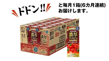 【  6ヶ月 連続 定期便 】 カゴメ 濃厚リコピン 食塩無添加 トマトジュース 195ml × 24本 カゴメトマトジュース KAGOME トマト ジュース 紙パック 食塩 無添加 無塩 トマト10
