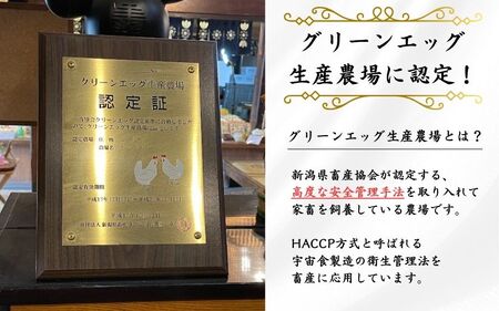 卵 定期便 3ヶ月 産みたて 赤たまご60個（Mサイズ）