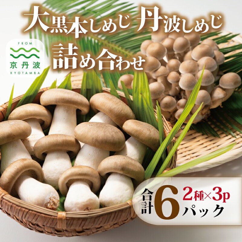 【ふるさと納税】大黒本しめじ 丹波しめじ 詰め合わせ （ 国産 京都 きのこ キノコ 丹波 しめじ 本シメジ はたけしめじ カット 食感 シャキシャキ 旨味たっぷり 天ぷら 鍋 炒め物 ） 新生活応援 ※北海道・沖縄・その他離島への配送不可