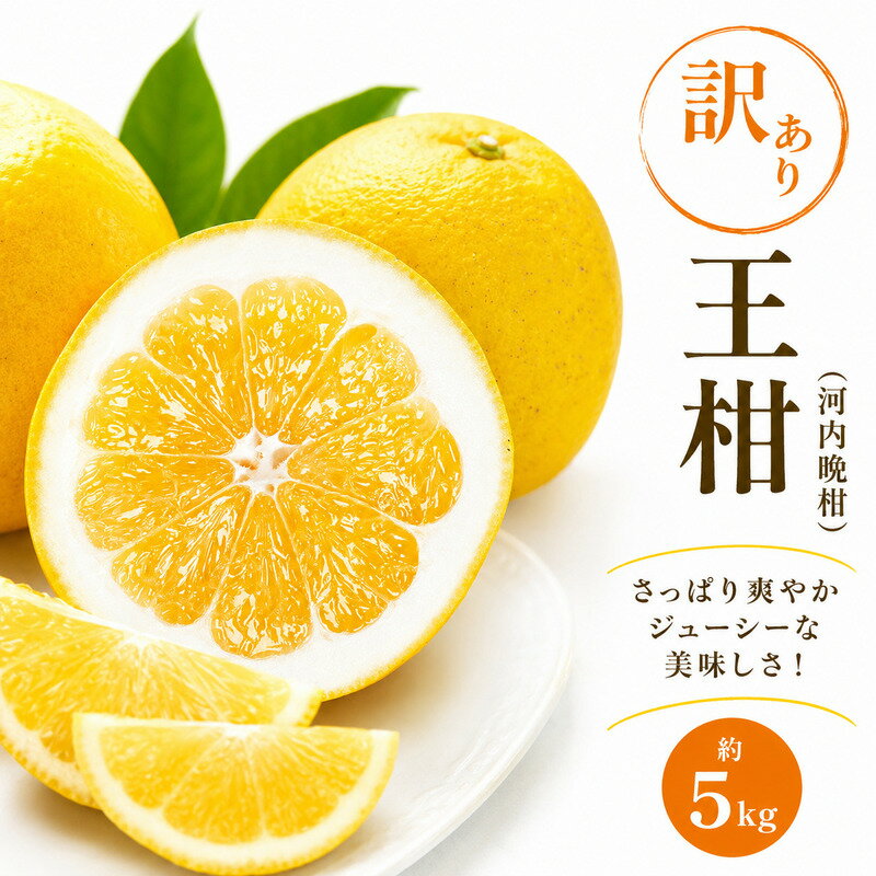 【ふるさと納税】訳あり 河内晩柑 王柑 5kg サイズミックス (M~4L) 柑橘 みかん 愛南ゴールド 河内晩柑 晩柑 和製 グレープフルーツ 傷 不揃い 規格外 常温 愛南町 大串農園 発送: 2026年5月下旬～6月上旬 (なくなり次第終了)