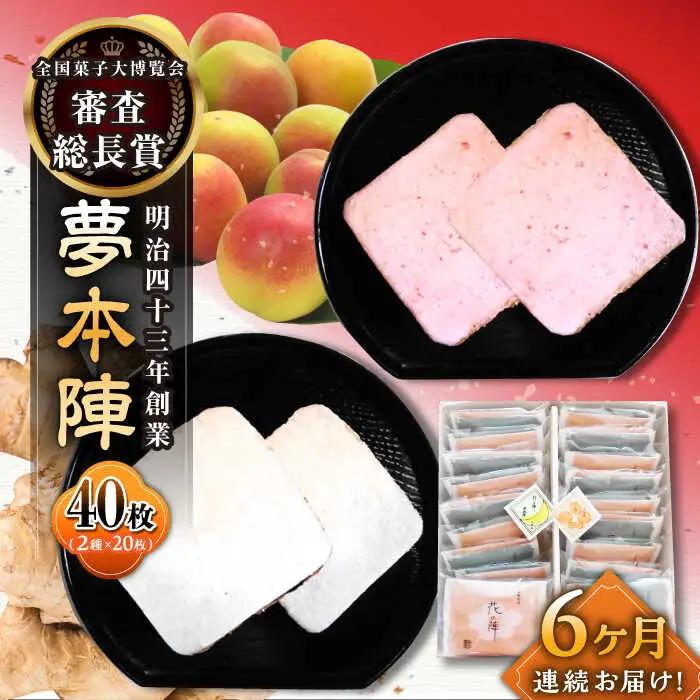 【6回定期便】 せんべい夢本陣 2種40枚 煎餅 おせんべい [UBQ019]