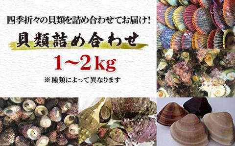 【天然海の幸、お酒のお供にも】おまかせ！五島の貝類詰め合わせ 1~2kg 鮮魚 【五島FF】[PBJ013]