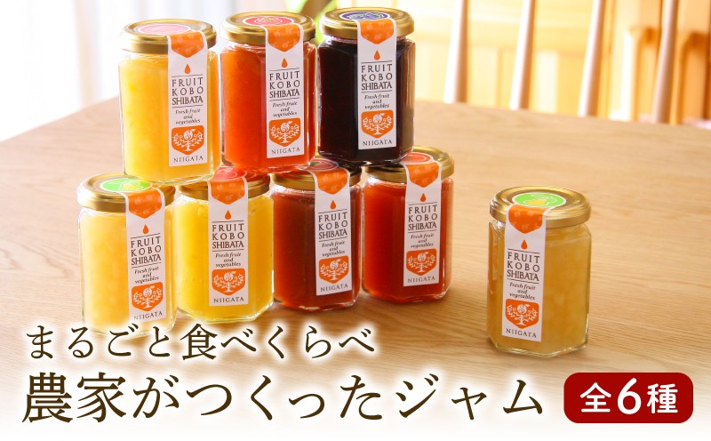 
            果物 ジャム 6種セット 農家の自家製ジャム 1瓶150g 自家製  詰合せ 手作り フルーツ りんご ル・レクチェ 桃 いちじく 和梨 ブルーベリー パン ヨーグルト 菓子 ケーキ 贈り物 ギフト 洋梨 もも なし 高橋農園 新潟 新発田 C55 
          