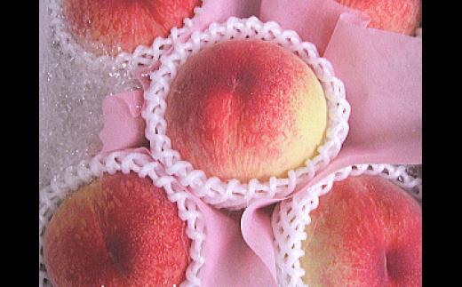 季節のフルーツ「さぬきの桃」計約3.4kg【６～７月発送】