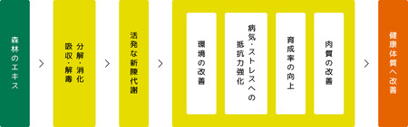 鶏肉 森林どり 4kg 【むね肉2kg(1kg×2パック) 手羽元2kg(1kg×2パック)】