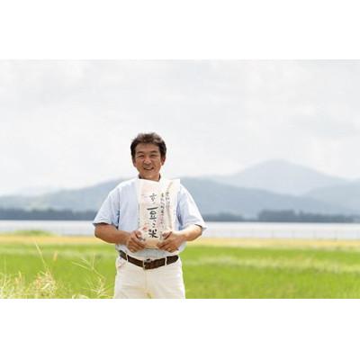 ふるさと納税 与謝野町 森の美しさを守る　天橋立阿蘇海の側で育った　京の豆っこ米5kg　令和6年産 コシヒカリ　京都丹後より