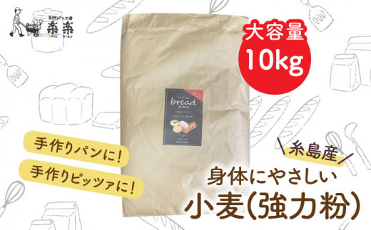 【 業務用 】 伊都 の みのり ( 強力粉 ) 10kg《糸島》 【天然パン工房楽楽】 【いとしまごころ】 [AVC064]