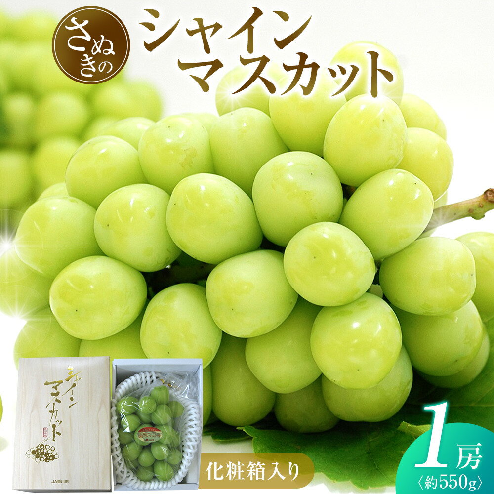 【ふるさと納税】シャインマスカット 約550g (1房) 化粧箱入り | シャインマスカット マスカット ぶどう 果物 フルーツ スイーツ 特産品 デザート 旬 期間限定
