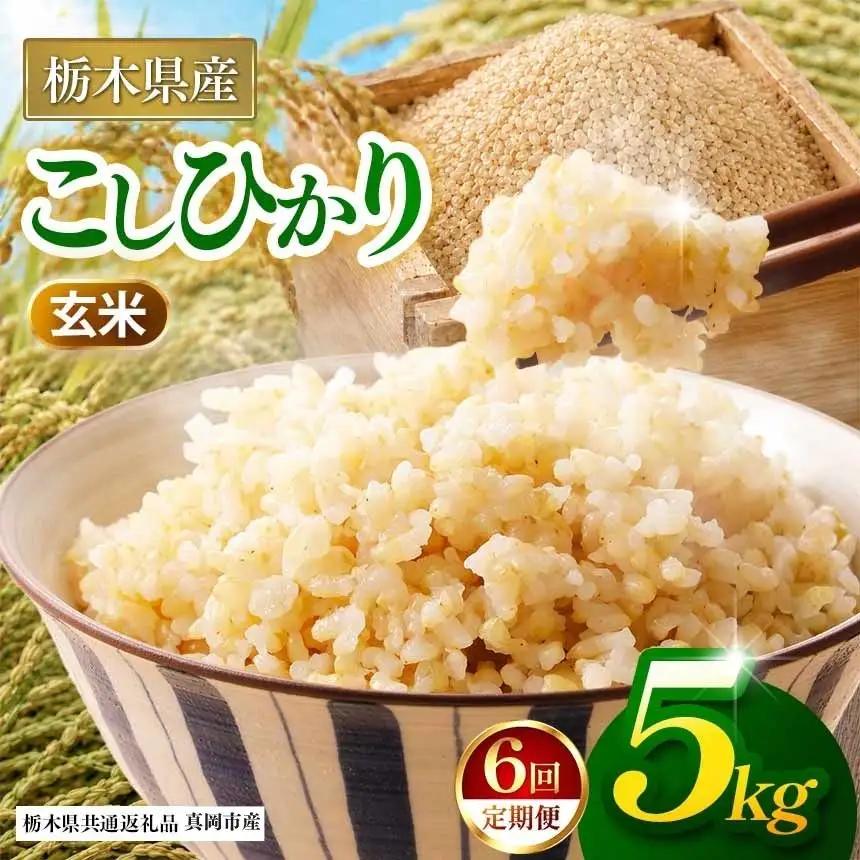 【栃木県共通返礼品】【定期6回】【令和８年度産】コシヒカリ 5kg お米  米 | 栃木県 那珂川町 送料無料