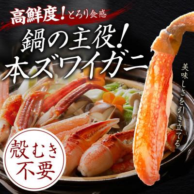 ふるさと納税 弟子屈町 海鮮カニ鍋セット 鮭 鱈 ホタテ 蟹 エビ約4-5人前 北海道 弟子屈町 2921 |  | 01