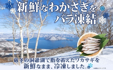 わかさぎ 洞爺湖町産 黄金のわかさぎ わかさぎ【18尾×4P 計72尾】【冷凍】