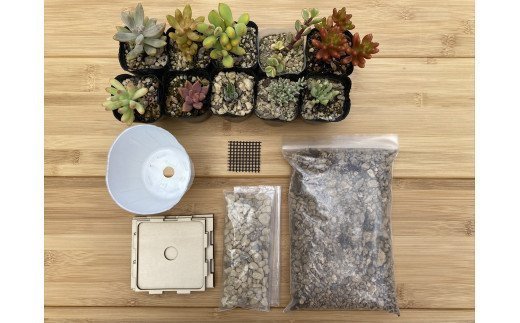 安心やすらぎ共和国 OASIS REPUBLIC -SUNAGAWA BASE-　片桐農園×空知単板工業㈱『多肉植物寄せ植え体験ギフトセット』 [オアリパ 北海道 砂川市 12260374]_イメージ