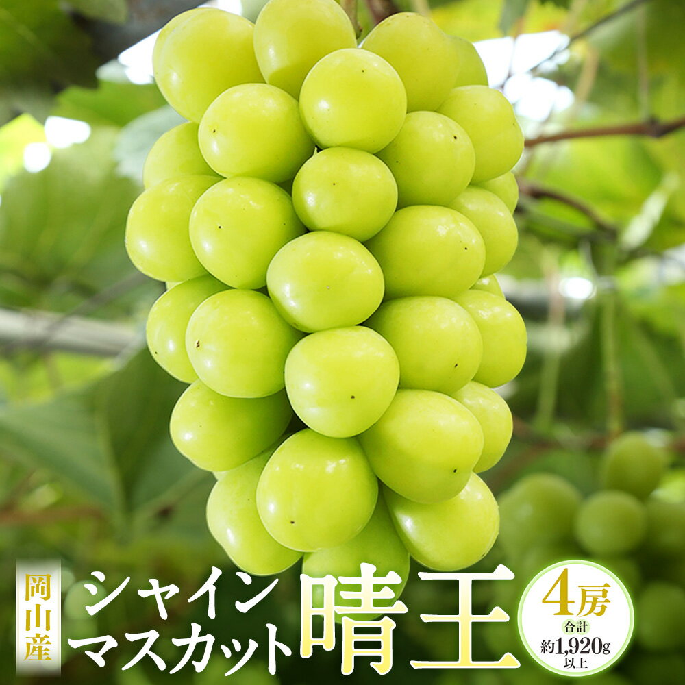 【ふるさと納税】岡山産 シャインマスカット 晴王 4房 （1房480g以上） マスカット ぶどう ブドウ 葡萄 果物 くだもの フルーツ 種なし 大粒 高糖度 冷蔵 お取り寄せ 国産 岡山県 奈義町 送料無料 【2025年8月下旬～10月下旬迄発送予定】