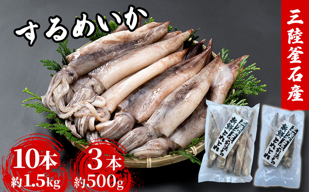 
            【選べる内容量】　三陸釜石産 するめいか 大容量パック！ 10本 約1.5kg 3本 約500g  阪神低温
          
