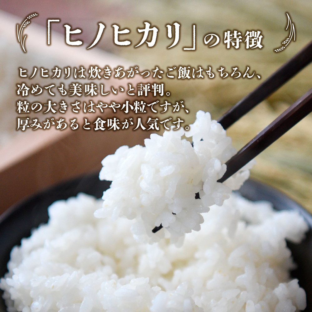 【E163】【新米 令和7年産】無洗米ヒノヒカリ 10kg（5kg×2袋 国産 米 新米 無洗米 お米 令和7年新米 精米 小分け 数量限定）_イメージ2