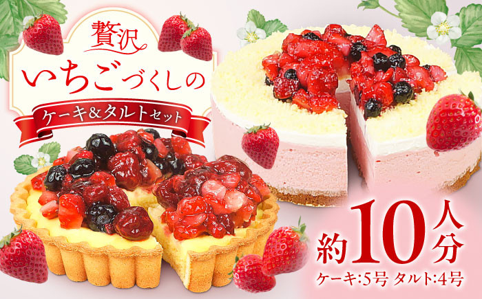 
            ケーキ・タルトセット（苺のムースケーキ・ベリーベリータルト） いちご イチゴ 苺ケーキ たると スイーツ デザート ベリー 洋菓子 スポンジ 冷凍 クリスマス パーティ 広川町 / イートウェル株式会社 [AFAK152]
          