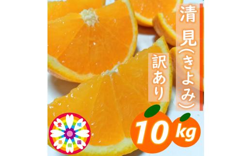 【先行受付】愛咲果樹園 「 清見 」 訳あり 約10kg＜C71-15＞【1344734】 YWTS013