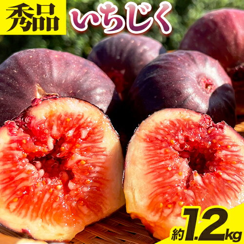 【ふるさと納税】【先行予約】紀の川産 いちじく 秀品 約1.2kg 約300g×4パック WAT農園《2025年8月中旬-11月中旬頃出荷》 和歌山県 紀の川市 イチジク 無花果 フルーツ 果物