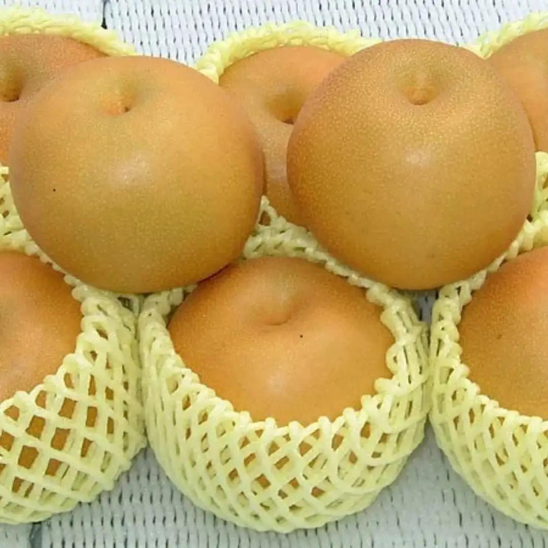 先行予約 和梨 豊水 特秀品 約5kg 糖度13度以上を厳選 令和8年度 新潟県産 天果糖逸 JAえちご中越