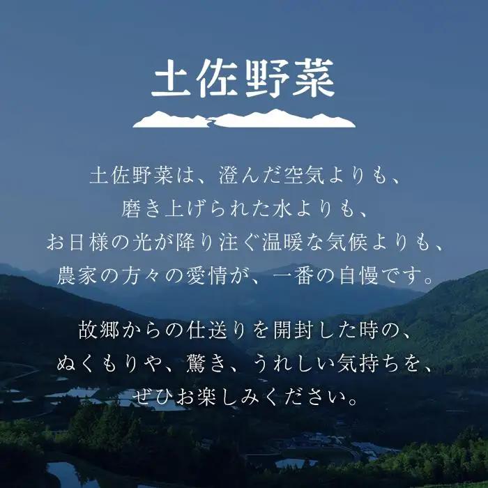 やさい 10~13品目 詰め合わせ セット 南国市 やさい