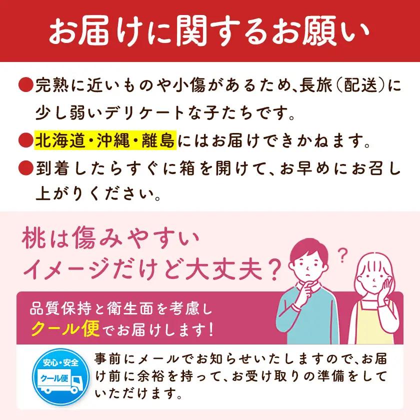 ＼2026年発送／ 桃 訳あり お助け桃 約1.2kg