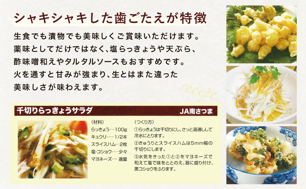 ◆5月中旬発送開始◆【鹿児島県南さつま市産】加世田砂丘らっきょう 約5kg ラッキョウ サラダ 天ぷら かき揚げ 酢味噌 特産品 野菜 旬 期間限定 JA 南さつま市