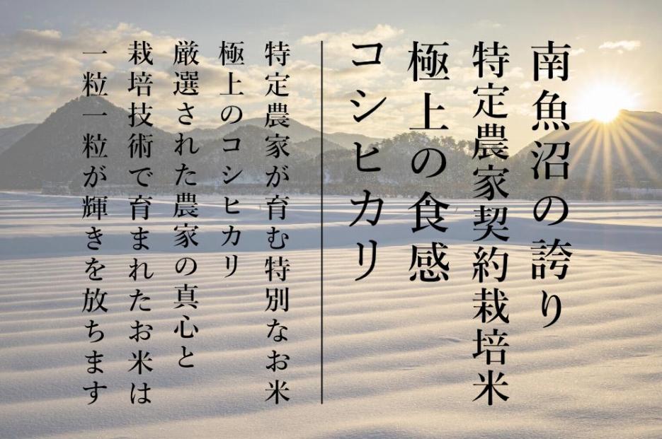 令和6年産新米予約【HIROTA：定期便/5ｋｇ×全9回】南魚沼産コシヒカリ食味コンテスト2年連続優秀賞受賞農家のこだわり米